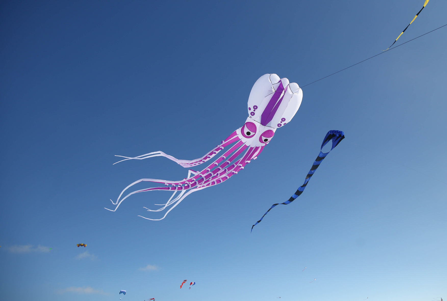 Color the Wind kite festival 02-15-2020 (7).jpg